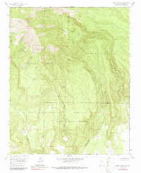 Download a high-resolution, GPS-compatible USGS topo map for Mount Taylor, NM (1986 edition)