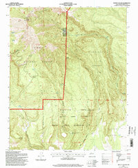 Download a high-resolution, GPS-compatible USGS topo map for Mount Taylor, NM (1998 edition)