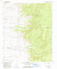 Download a high-resolution, GPS-compatible USGS topo map for Mount Washington, NM (1992 edition)