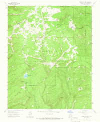 Download a high-resolution, GPS-compatible USGS topo map for Nacimiento Peak, NM (1966 edition)
