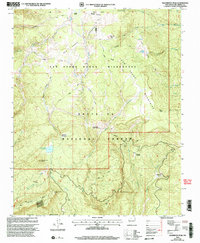 Download a high-resolution, GPS-compatible USGS topo map for Nacimiento Peak, NM (2003 edition)