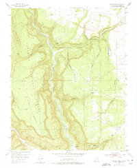 Download a high-resolution, GPS-compatible USGS topo map for Navajo Peak, NM (1975 edition)