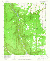 Download a high-resolution, GPS-compatible USGS topo map for Navajo Peak, NM (1965 edition)