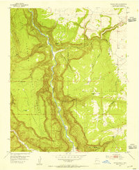 Download a high-resolution, GPS-compatible USGS topo map for Navajo Peak, NM (1955 edition)