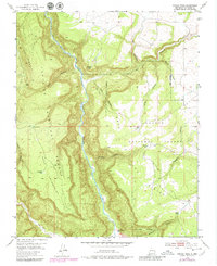 Download a high-resolution, GPS-compatible USGS topo map for Navajo Peak, NM (1980 edition)