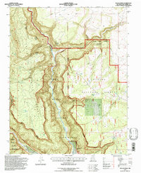 Download a high-resolution, GPS-compatible USGS topo map for Navajo Peak, NM (1997 edition)