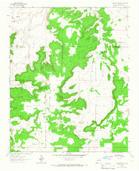Download a high-resolution, GPS-compatible USGS topo map for Neafus Ranch, NM (1966 edition)