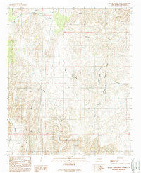 Download a high-resolution, GPS-compatible USGS topo map for Nelson Canyon West, NM (1989 edition)
