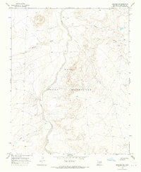 Download a high-resolution, GPS-compatible USGS topo map for Newcomb NE, NM (1969 edition)