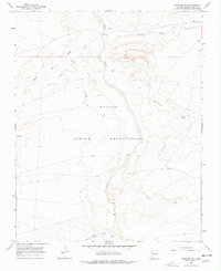 Download a high-resolution, GPS-compatible USGS topo map for Newcomb SE, NM (1978 edition)
