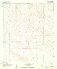 Download a high-resolution, GPS-compatible USGS topo map for Newman NE, NM (1962 edition)