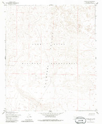 Download a high-resolution, GPS-compatible USGS topo map for Newman NE, NM (1986 edition)