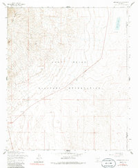 Download a high-resolution, GPS-compatible USGS topo map for Newman NW, NM (1986 edition)