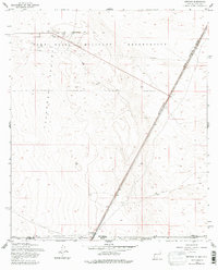 Download a high-resolution, GPS-compatible USGS topo map for Newman, NM (1979 edition)