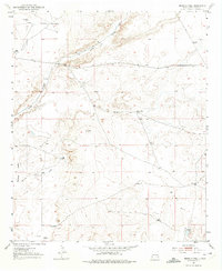 Download a high-resolution, GPS-compatible USGS topo map for Ninemile Well, NM (1975 edition)