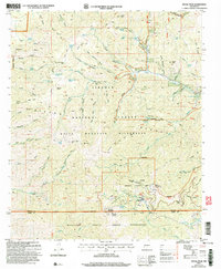 Download a high-resolution, GPS-compatible USGS topo map for Nogal Peak, NM (2006 edition)