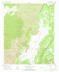 Download a high-resolution, GPS-compatible USGS topo map for North Pasture, NM (1978 edition)