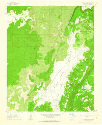 Download a high-resolution, GPS-compatible USGS topo map for North Pasture, NM (1963 edition)