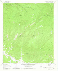 Download a high-resolution, GPS-compatible USGS topo map for North Star Mesa, NM (1980 edition)