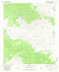Download a high-resolution, GPS-compatible USGS topo map for O Bar O Canyon West, NM (1981 edition)