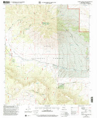 Download a high-resolution, GPS-compatible USGS topo map for O Bar O Canyon West, NM (2002 edition)