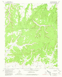 Download a high-resolution, GPS-compatible USGS topo map for Oak Spring, NM (1981 edition)