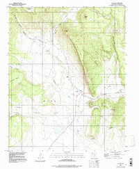 Download a high-resolution, GPS-compatible USGS topo map for Ocate, NM (1998 edition)