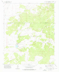 Download a high-resolution, GPS-compatible USGS topo map for Ojo Caliente Reservoir, NM (1976 edition)