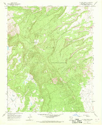 Download a high-resolution, GPS-compatible USGS topo map for Old Pine Spring, NM (1969 edition)