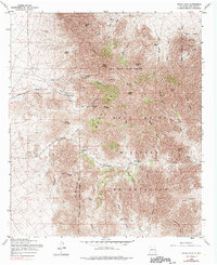 Download a high-resolution, GPS-compatible USGS topo map for Organ Peak, NM (1990 edition)