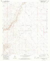 Download a high-resolution, GPS-compatible USGS topo map for Otero Mesa North, NM (1980 edition)