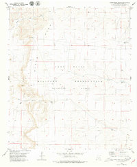 Download a high-resolution, GPS-compatible USGS topo map for Otero Mesa South, NM (1979 edition)