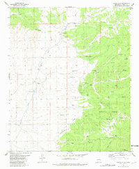 Download a high-resolution, GPS-compatible USGS topo map for Paddys Hole, NM (1981 edition)