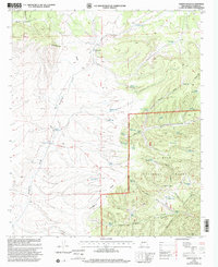 Download a high-resolution, GPS-compatible USGS topo map for Paddys Hole, NM (2002 edition)