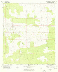 Download a high-resolution, GPS-compatible USGS topo map for Paduca Breaks East, NM (1976 edition)