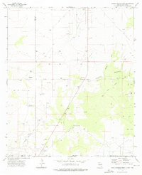 Download a high-resolution, GPS-compatible USGS topo map for Paduca Breaks West, NM (1976 edition)