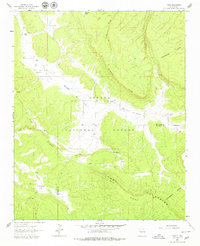 Download a high-resolution, GPS-compatible USGS topo map for Page, NM (1979 edition)