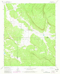 Download a high-resolution, GPS-compatible USGS topo map for Page, NM (1981 edition)