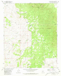 Download a high-resolution, GPS-compatible USGS topo map for Pajaro Canyon, NM (1981 edition)