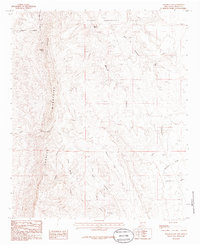 Download a high-resolution, GPS-compatible USGS topo map for Palomas Gap, NM (1985 edition)