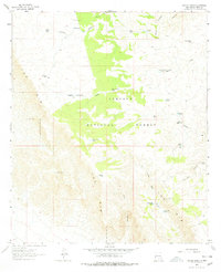 Download a high-resolution, GPS-compatible USGS topo map for Panama Ranch, NM (1978 edition)