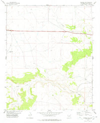 Download a high-resolution, GPS-compatible USGS topo map for Pastura NE, NM (1978 edition)