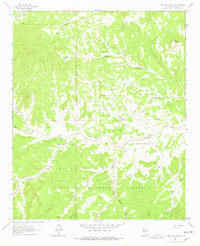 Download a high-resolution, GPS-compatible USGS topo map for Pasture Canyon, NM (1978 edition)