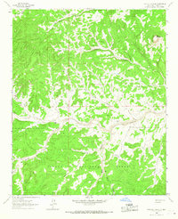 Download a high-resolution, GPS-compatible USGS topo map for Pasture Canyon, NM (1967 edition)