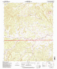 Download a high-resolution, GPS-compatible USGS topo map for Pasture Canyon, NM (1998 edition)