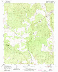 Download a high-resolution, GPS-compatible USGS topo map for Paxton Springs, NM (1984 edition)