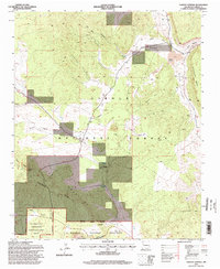 Download a high-resolution, GPS-compatible USGS topo map for Paxton Springs, NM (1998 edition)