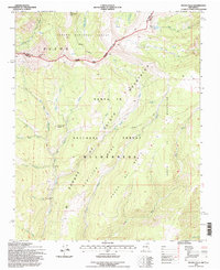 Download a high-resolution, GPS-compatible USGS topo map for Pecos Falls, NM (1997 edition)