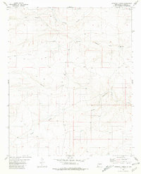 Download a high-resolution, GPS-compatible USGS topo map for Pedernal Arroyo, NM (1981 edition)