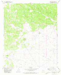 Download a high-resolution, GPS-compatible USGS topo map for Pelon Hill, NM (1981 edition)